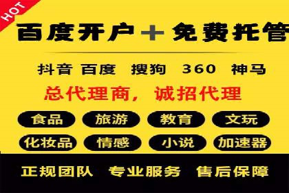百度竞价广告投放全解析：成功案例揭秘